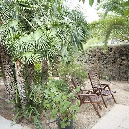 Pinos 6 Vila